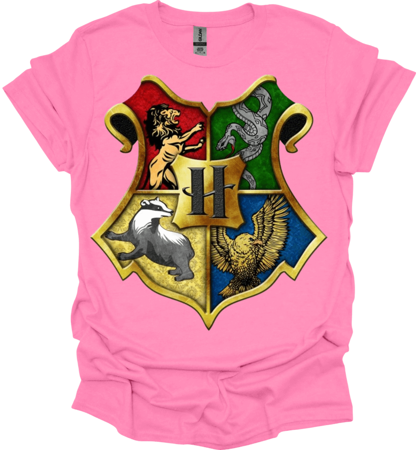 Hogwarts House Magic Academy House Inspired Graphic Tee